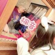 ヒメ日記 2026/03/28 22:07 投稿 楓音(かのん) ハピネス東京