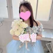 ヒメ日記 2026/04/04 10:47 投稿 楓音(かのん) ハピネス東京