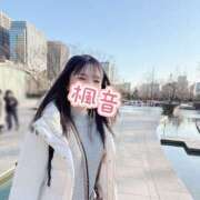 ヒメ日記 2026/04/05 15:57 投稿 楓音(かのん) ハピネス東京