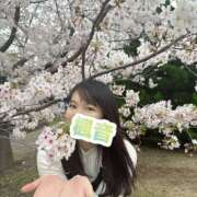 ヒメ日記 2026/04/08 08:17 投稿 楓音(かのん) ハピネス東京