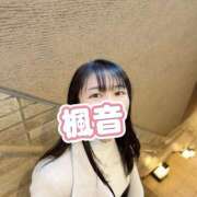 ヒメ日記 2026/04/08 23:27 投稿 楓音(かのん) ハピネス東京