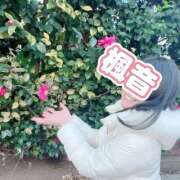 ヒメ日記 2026/04/15 23:47 投稿 楓音(かのん) ハピネス東京