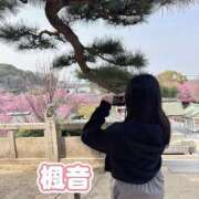 ヒメ日記 2026/06/09 14:27 投稿 楓音(かのん) ハピネス東京