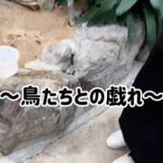 楓音(かのん) ビビりです笑 ハピネス東京
