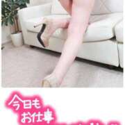 ヒメ日記 2025/07/29 17:02 投稿 れいか 小山人妻隊