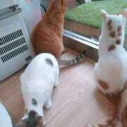 ヒメ日記 2025/04/13 16:06 投稿 宮崎 熟女の風俗最終章 新横浜店