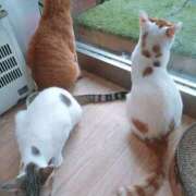 ヒメ日記 2025/04/13 16:11 投稿 宮崎 熟女の風俗最終章 新横浜店