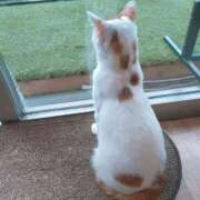 ヒメ日記 2025/04/23 11:32 投稿 宮崎 熟女の風俗最終章 新横浜店