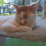 ヒメ日記 2025/10/06 11:39 投稿 宮崎 熟女の風俗最終章 新横浜店