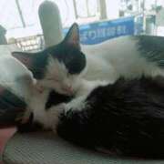 ヒメ日記 2025/11/09 18:36 投稿 宮崎 熟女の風俗最終章 新横浜店