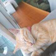 ヒメ日記 2025/12/04 09:50 投稿 宮崎 熟女の風俗最終章 新横浜店