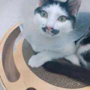 ヒメ日記 2026/02/21 11:26 投稿 宮崎 熟女の風俗最終章 新横浜店