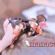 ヒメ日記 2025/02/14 17:10 投稿 まなか One More奥様　横浜関内店