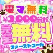 ヒメ日記 2024/11/03 12:30 投稿 ちえ〖こだ割嬢〗 first call～ファーストコール～