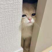 ヒメ日記 2025/06/21 18:21 投稿 あやせ ポッキリ学園 ～モテモテハーレムごっこ～