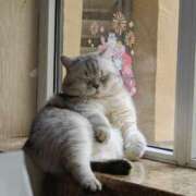 ヒメ日記 2025/06/22 20:41 投稿 あやせ ポッキリ学園 ～モテモテハーレムごっこ～