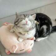 ヒメ日記 2025/06/23 19:51 投稿 あやせ ポッキリ学園 ～モテモテハーレムごっこ～