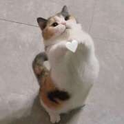 ヒメ日記 2025/07/14 01:41 投稿 あやせ ポッキリ学園 ～モテモテハーレムごっこ～