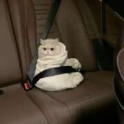 ヒメ日記 2025/08/22 13:50 投稿 あやせ ポッキリ学園 ～モテモテハーレムごっこ～