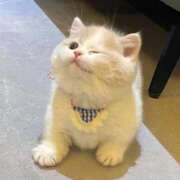 ヒメ日記 2025/09/13 00:21 投稿 あやせ ポッキリ学園 ～モテモテハーレムごっこ～