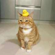 ヒメ日記 2025/09/21 01:51 投稿 あやせ ポッキリ学園 ～モテモテハーレムごっこ～