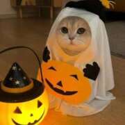 ヒメ日記 2025/10/31 10:05 投稿 あやせ ポッキリ学園 ～モテモテハーレムごっこ～