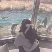 ヒメ日記 2025/11/11 18:51 投稿 あやせ ポッキリ学園 ～モテモテハーレムごっこ～