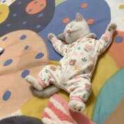 ヒメ日記 2025/11/16 02:36 投稿 あやせ ポッキリ学園 ～モテモテハーレムごっこ～