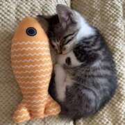 ヒメ日記 2025/11/21 03:21 投稿 あやせ ポッキリ学園 ～モテモテハーレムごっこ～