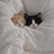 ヒメ日記 2026/02/08 20:51 投稿 あやせ ポッキリ学園 ～モテモテハーレムごっこ～