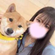 ヒメ日記 2026/02/22 08:03 投稿 あやせ ポッキリ学園 ～モテモテハーレムごっこ～