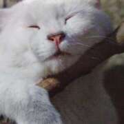 ヒメ日記 2024/12/27 09:08 投稿 みずき 池袋で熟女の風俗 マダムいやーん