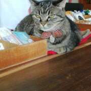 ヒメ日記 2024/12/28 09:54 投稿 みずき 池袋で熟女の風俗 マダムいやーん