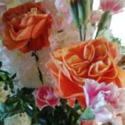 ヒメ日記 2025/02/09 22:24 投稿 みずき 池袋で熟女の風俗 マダムいやーん