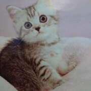 ヒメ日記 2025/02/22 10:32 投稿 みずき 池袋で熟女の風俗 マダムいやーん