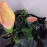 ヒメ日記 2025/03/01 21:40 投稿 みずき 池袋で熟女の風俗 マダムいやーん