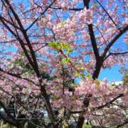 ヒメ日記 2025/03/10 21:40 投稿 みずき 池袋で熟女の風俗 マダムいやーん