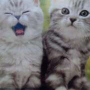 ヒメ日記 2025/03/22 12:16 投稿 みずき 池袋で熟女の風俗 マダムいやーん