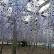 ヒメ日記 2025/04/12 11:20 投稿 みずき 池袋で熟女の風俗 マダムいやーん