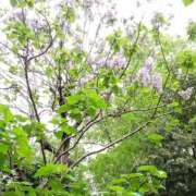 ヒメ日記 2025/04/24 19:53 投稿 みずき 池袋で熟女の風俗 マダムいやーん