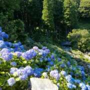 ヒメ日記 2025/05/08 23:04 投稿 みずき 池袋で熟女の風俗 マダムいやーん