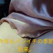 ヒメ日記 2025/06/17 07:45 投稿 みずき 池袋で熟女の風俗 マダムいやーん