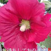 ヒメ日記 2025/06/30 09:30 投稿 みずき 池袋で熟女の風俗 マダムいやーん