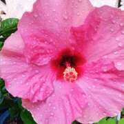 ヒメ日記 2025/07/06 21:38 投稿 みずき 池袋で熟女の風俗 マダムいやーん