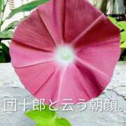 ヒメ日記 2025/07/29 20:55 投稿 みずき 池袋で熟女の風俗 マダムいやーん