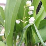 ヒメ日記 2026/04/18 10:14 投稿 みずき 池袋で熟女の風俗 マダムいやーん