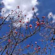 ヒメ日記 2025/02/28 11:20 投稿 もな 錦糸町ミセスアロマ（ユメオト）