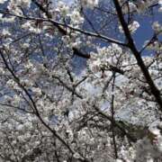 ヒメ日記 2025/04/06 10:31 投稿 もな 錦糸町ミセスアロマ（ユメオト）