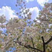 ヒメ日記 2025/04/07 14:05 投稿 もな 錦糸町ミセスアロマ（ユメオト）