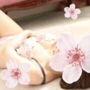 ヒメ日記 2025/04/08 15:44 投稿 もな 錦糸町ミセスアロマ（ユメオト）